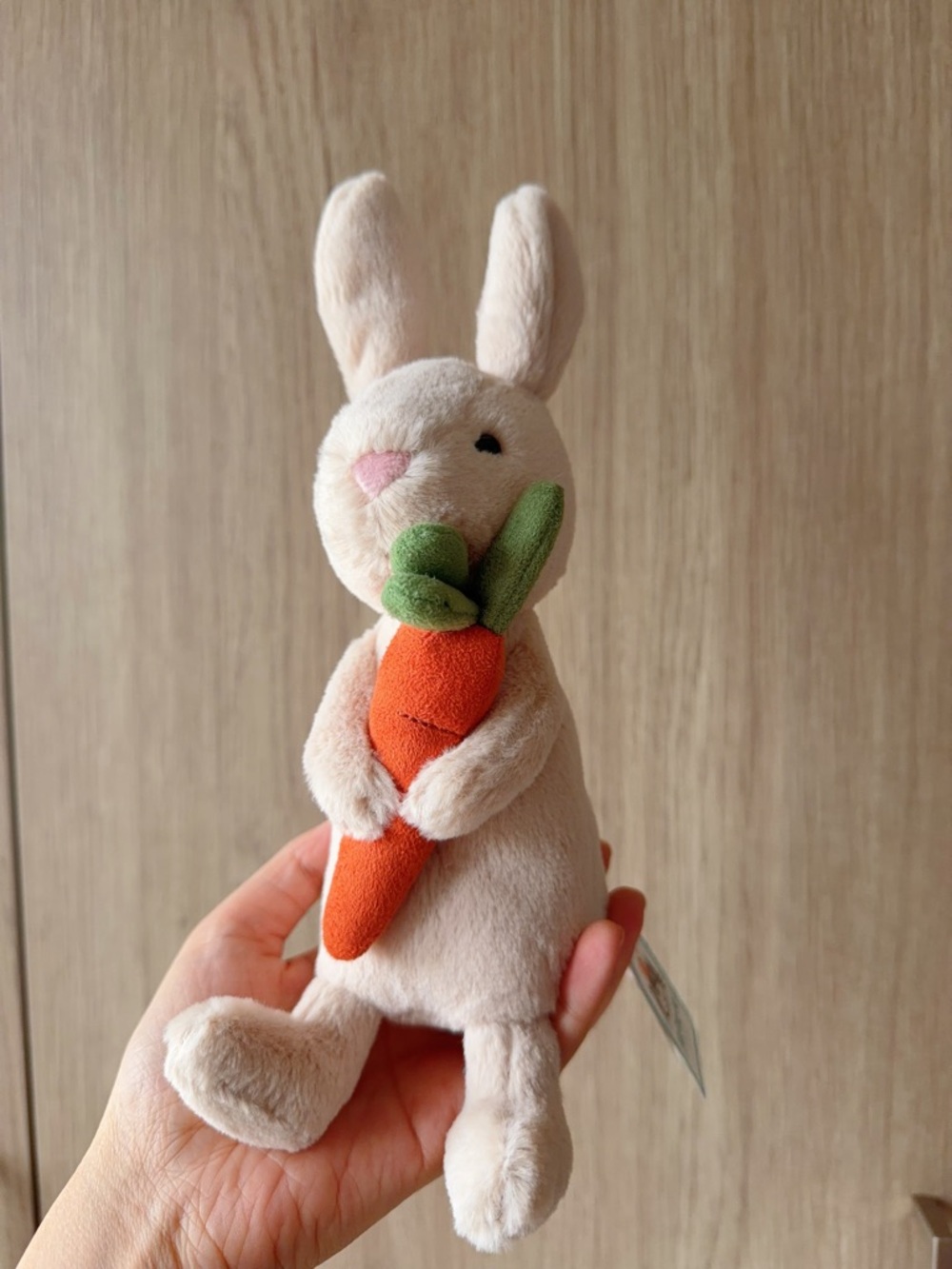 Jellycat I'm Bonnie Bunny with 🥕 Carrot
